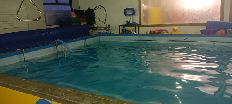 Dolphinz Swim School