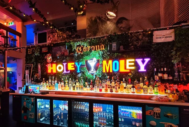 Holey Moley Golf Club Auckland