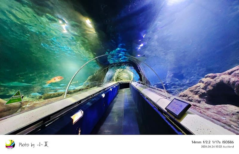 SEA LIFE Kelly Tarlton's Aquarium