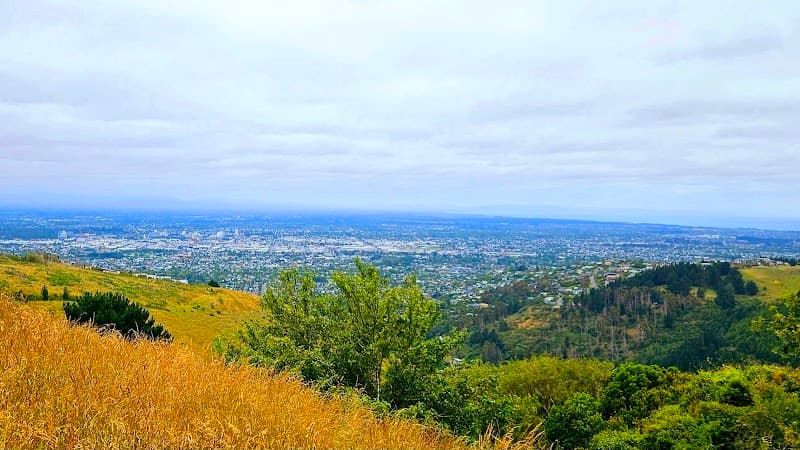 Victoria Park Playground