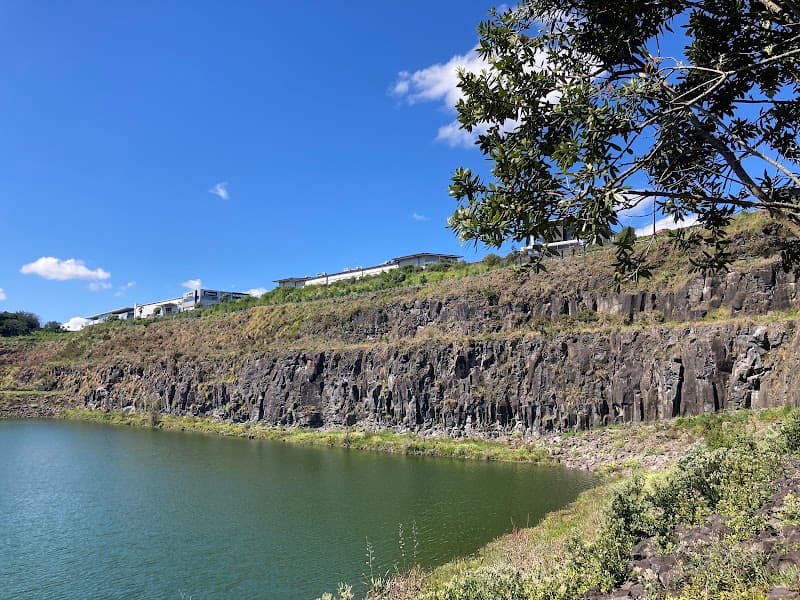 Maungarei Springs (Stonefields) Crag