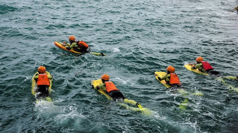 Social Nature Movement